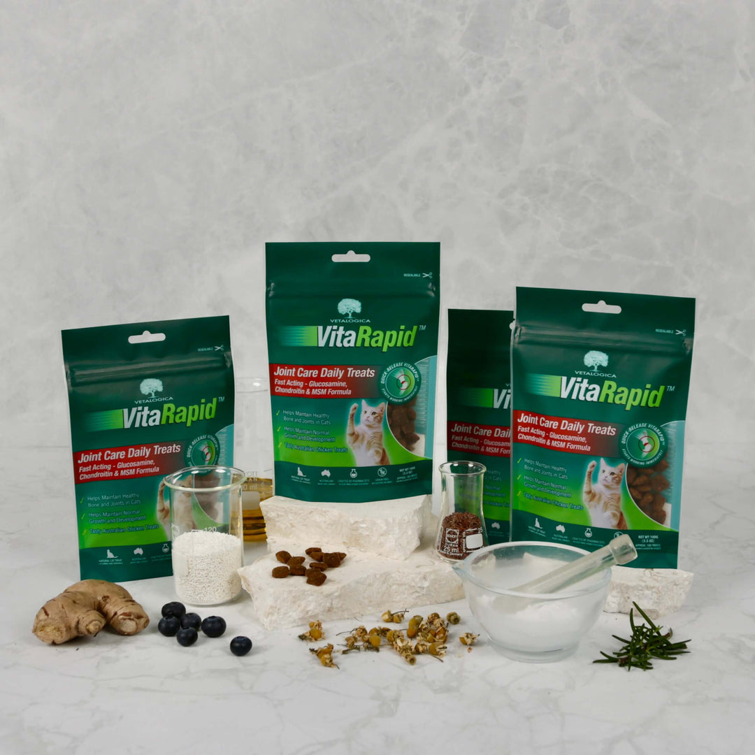 Bundle Pack of 4 x VitaRapid® Joint Care Daily Treats For Cats 100g
