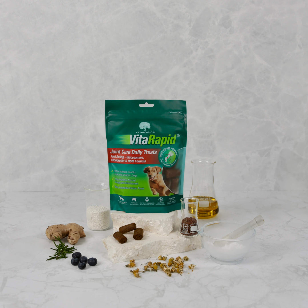 VitaRapid® Joint Care Daily Treats For Dogs - 210g