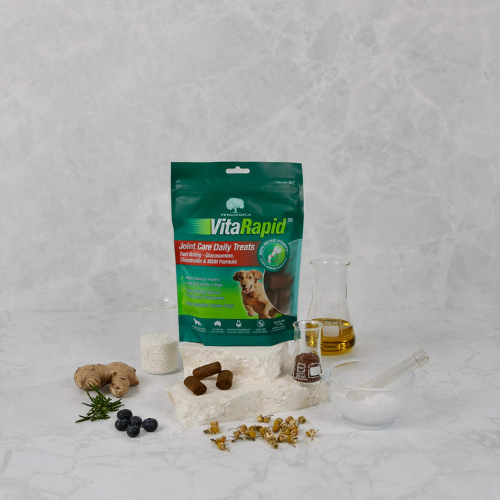 VitaRapid® Joint Care Daily Treats For Dogs - 210g