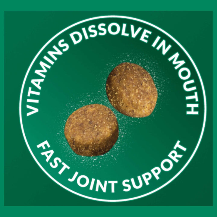 VitaRapid Science Hip & Joint Adult Dog Food