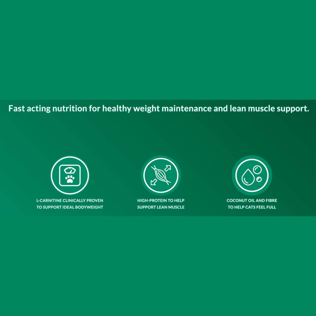 VitaRapid Science Perfect Weight Adult Cat Food