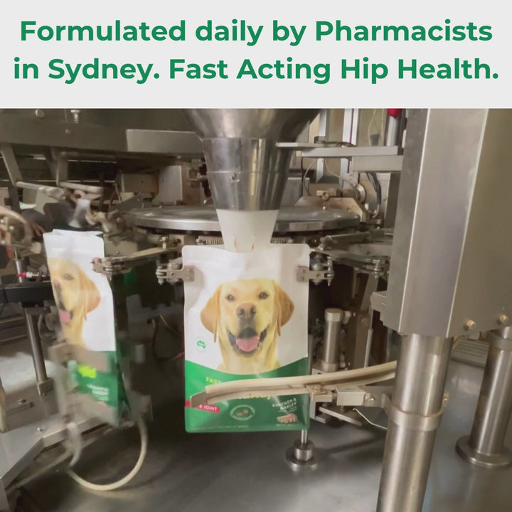 VitaRapid Science Hip & Joint Adult Dog Food